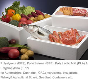 Polystyrene (EPS), Polyethylene (EPE), Poly Lactic Acid (PLA),& Polypropylene (EPP)