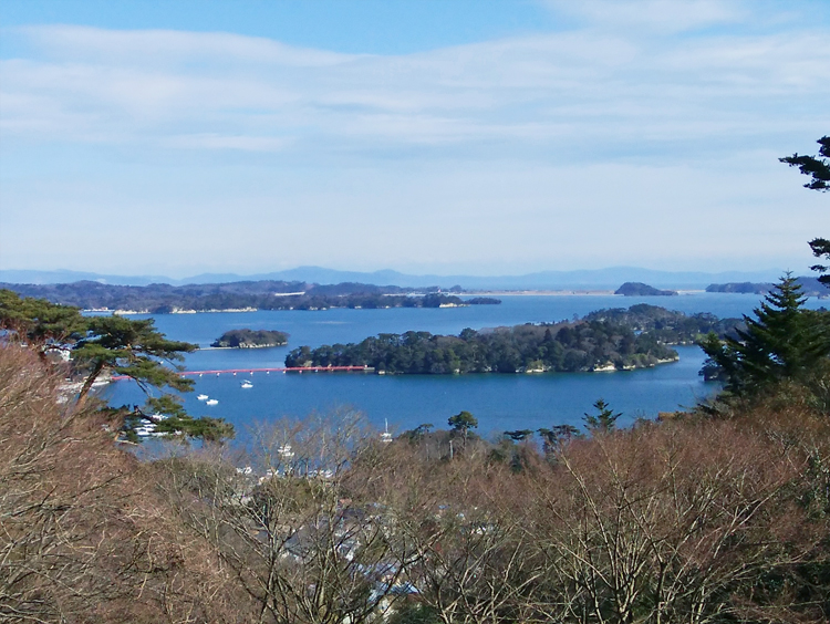 宮城県　松島町　西行戻しの松公園