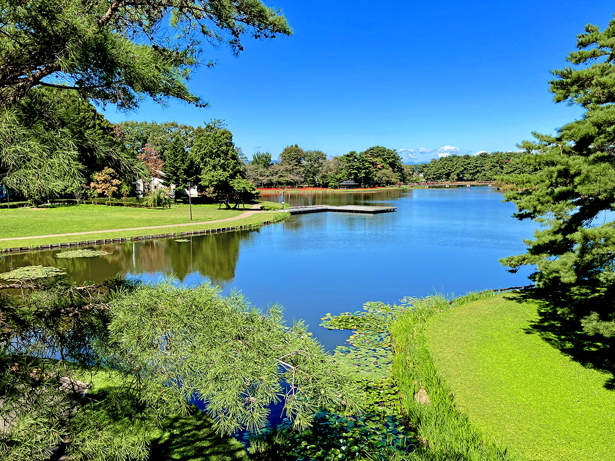 大池公園（福島県西白河郡）
